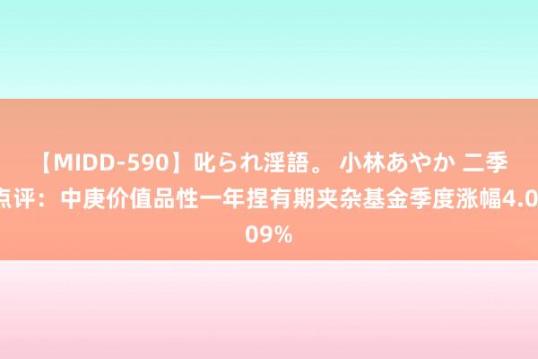 【MIDD-590】叱られ淫語。 小林あやか 二季报点评：中庚价值品性一年捏有期夹杂基金季度涨幅4.09%