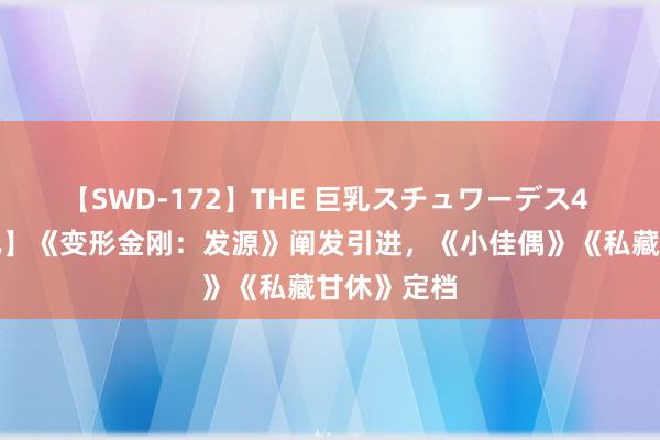 【SWD-172】THE 巨乳スチュワーデス4 【娱乐快讯】《变形金刚：发源》阐发引进，《小佳偶》《私藏甘休》定档