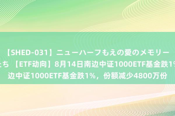 【SHED-031】ニューハーフもえの愛のメモリー 通り過ぎた12人の男たち 【ETF动向】8月14日南边中证1000ETF基金跌1%,份额减少4800万份