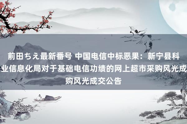 前田ちえ最新番号 中国电信中标恶果：新宁县科技和工业信息化局对于基础电信功绩的网上超市采购风光成交公告