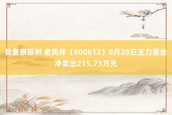 我要狠狠射 老凤祥（600612）8月28日主力资金净卖出215.73万元