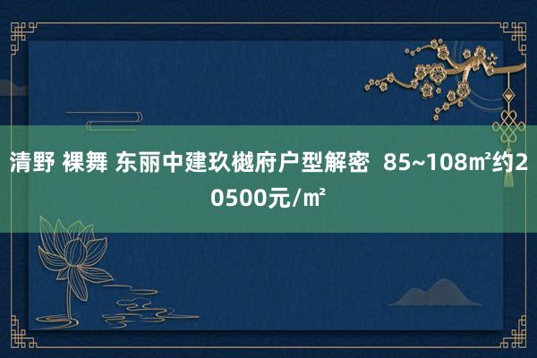 清野 裸舞 东丽中建玖樾府户型解密  85~108㎡约20500元/㎡