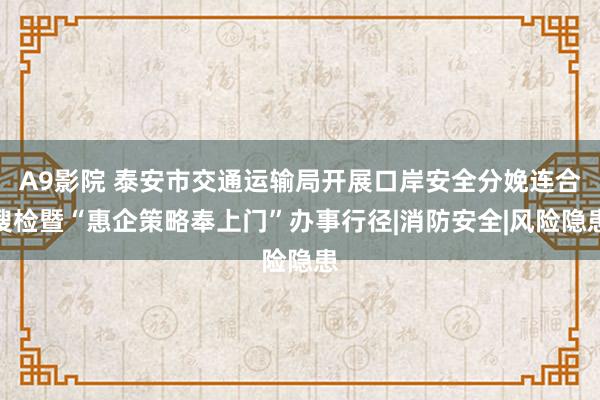 A9影院 泰安市交通运输局开展口岸安全分娩连合搜检暨“惠企策略奉上门”办事行径|消防安全|风险隐患