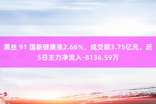 黑丝 91 国新健康涨2.66%，成交额3.75亿元，近5日主力净流入-8136.59万