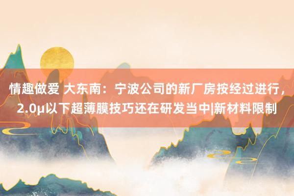 情趣做爱 大东南：宁波公司的新厂房按经过进行，2.0μ以下超薄膜技巧还在研发当中|新材料限制