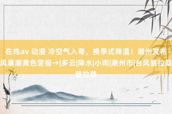 在线av 动漫 冷空气入粤，换季式降温！潮州发布风暴潮黄色警报→|多云|降水|小雨|潮州市|台风普拉桑