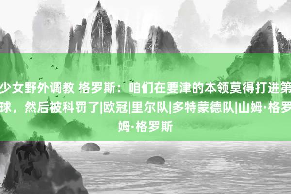 少女野外调教 格罗斯：咱们在要津的本领莫得打进第二球，然后被科罚了|欧冠|里尔队|多特蒙德队|山姆·格罗斯