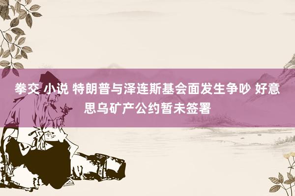 拳交 小说 特朗普与泽连斯基会面发生争吵 好意思乌矿产公约暂未签署