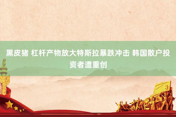 黑皮猪 杠杆产物放大特斯拉暴跌冲击 韩国散户投资者遭重创