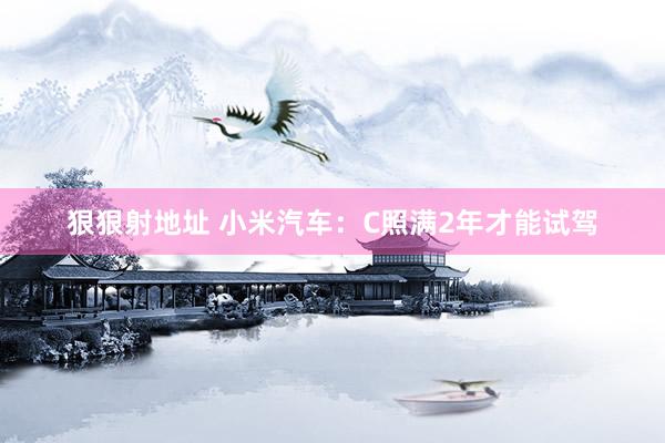 狠狠射地址 小米汽车：C照满2年才能试驾