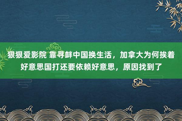 狠狠爱影院 靠寻衅中国换生活，加拿大为何挨着好意思国打还要依赖好意思，原因找到了