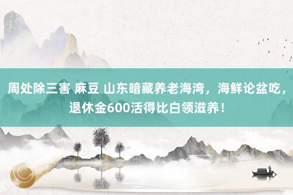周处除三害 麻豆 山东暗藏养老海湾，海鲜论盆吃，退休金600活得比白领滋养！