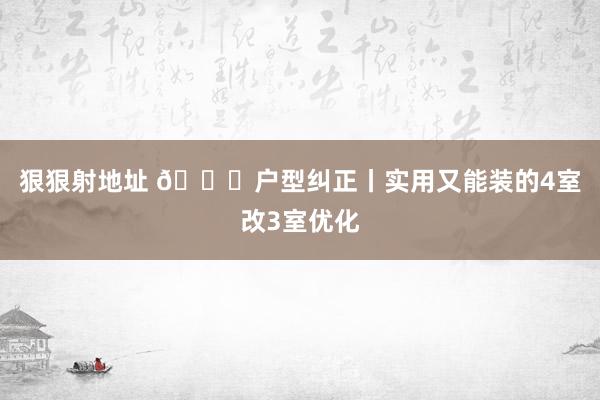 狠狠射地址 🍁户型纠正丨实用又能装的4室改3室优化