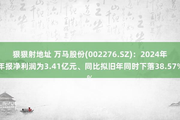 狠狠射地址 万马股份(002276.SZ)：2024年年报净利润为3.41亿元、同比拟旧年同时下落38.57%