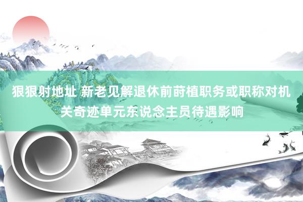 狠狠射地址 新老见解退休前莳植职务或职称对机关奇迹单元东说念主员待遇影响